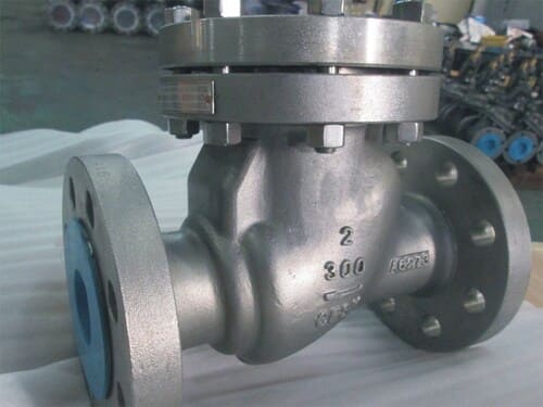 Check Valve Repair Service